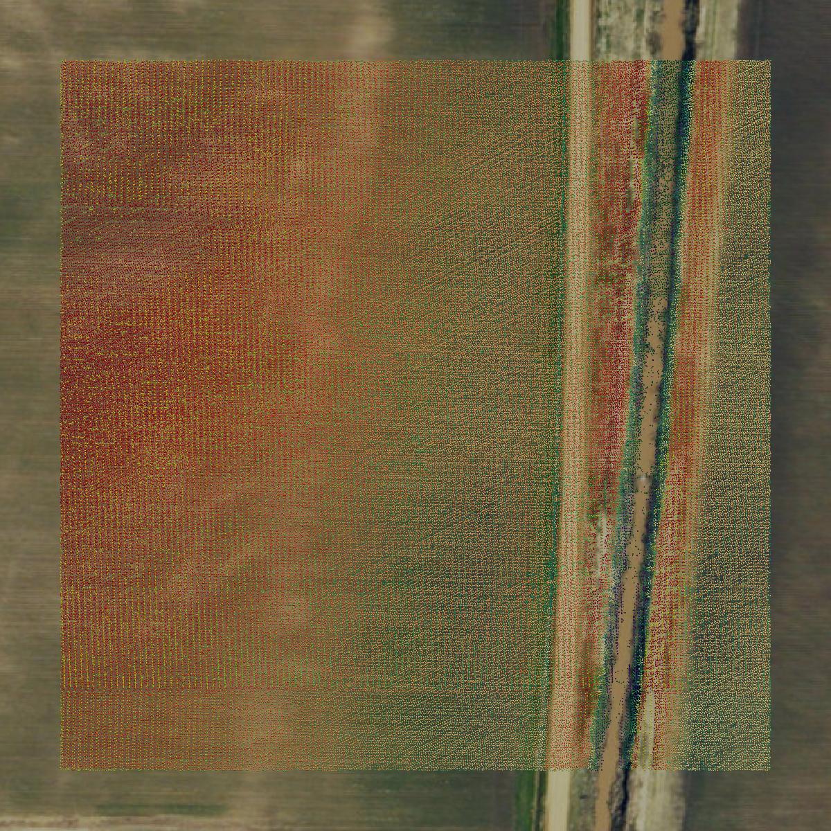 This image shows a LiDAR point cloud in Dunklin County created using GIS data in Equator.