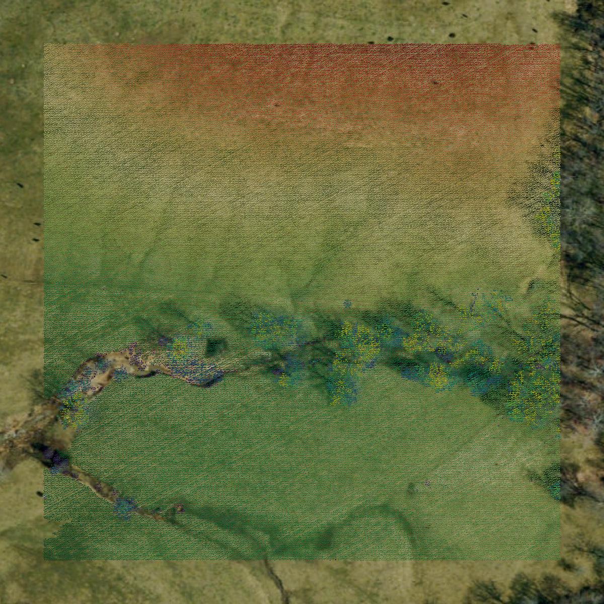 This image shows a LiDAR point cloud in Gasconade County created using GIS data in Equator.