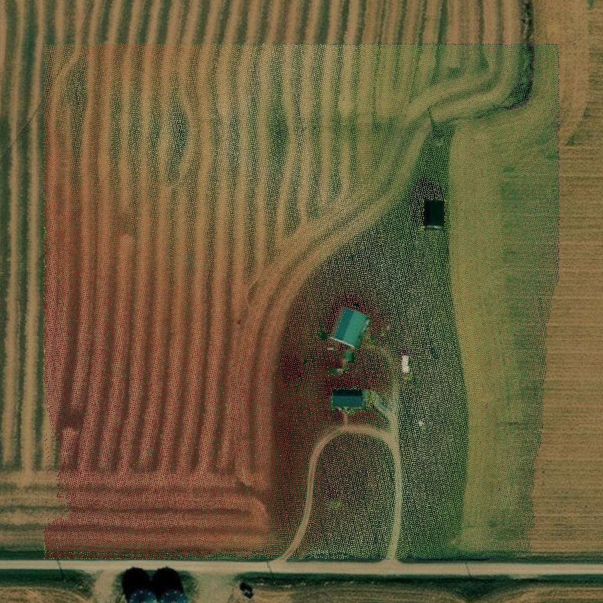 This image shows a LiDAR point cloud in Gentry County created using GIS data in Equator.