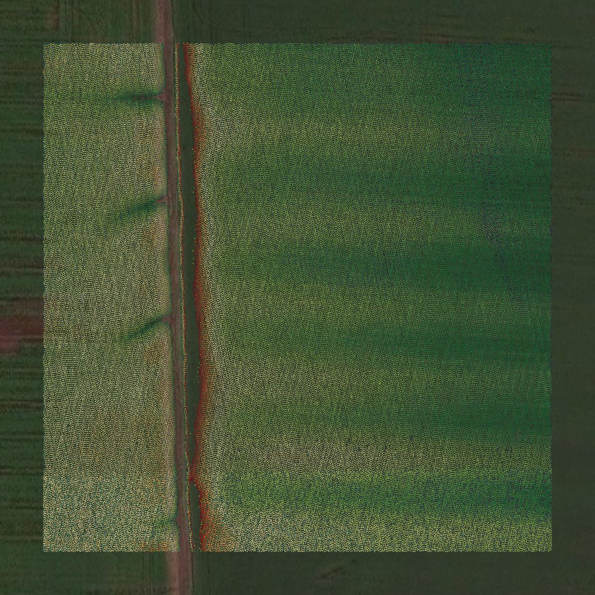 This image shows a LiDAR point cloud in Gentry County created using GIS data in Equator.