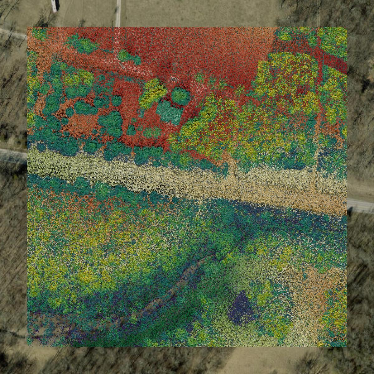 This image shows a LiDAR point cloud in Greene County created using GIS data in Equator.
