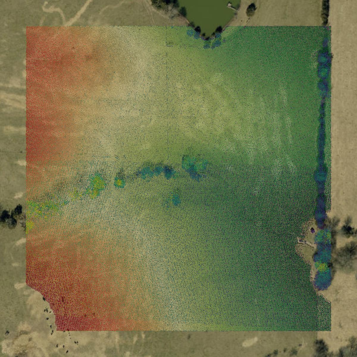 This image shows a LiDAR point cloud in Greene County created using GIS data in Equator.