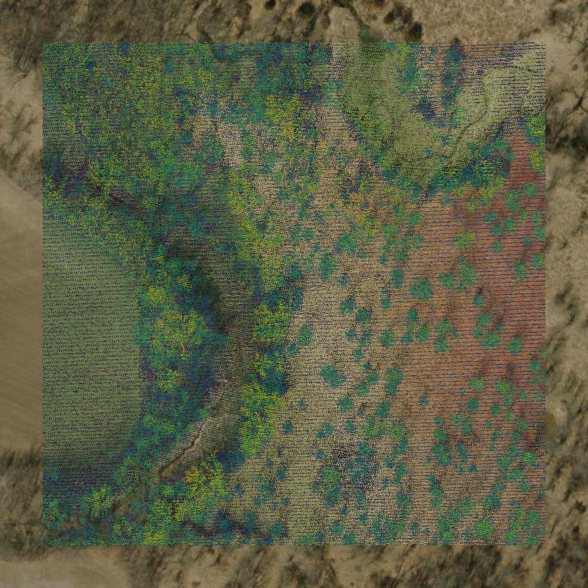 This image shows a LiDAR point cloud in Grundy County created using GIS data in Equator.
