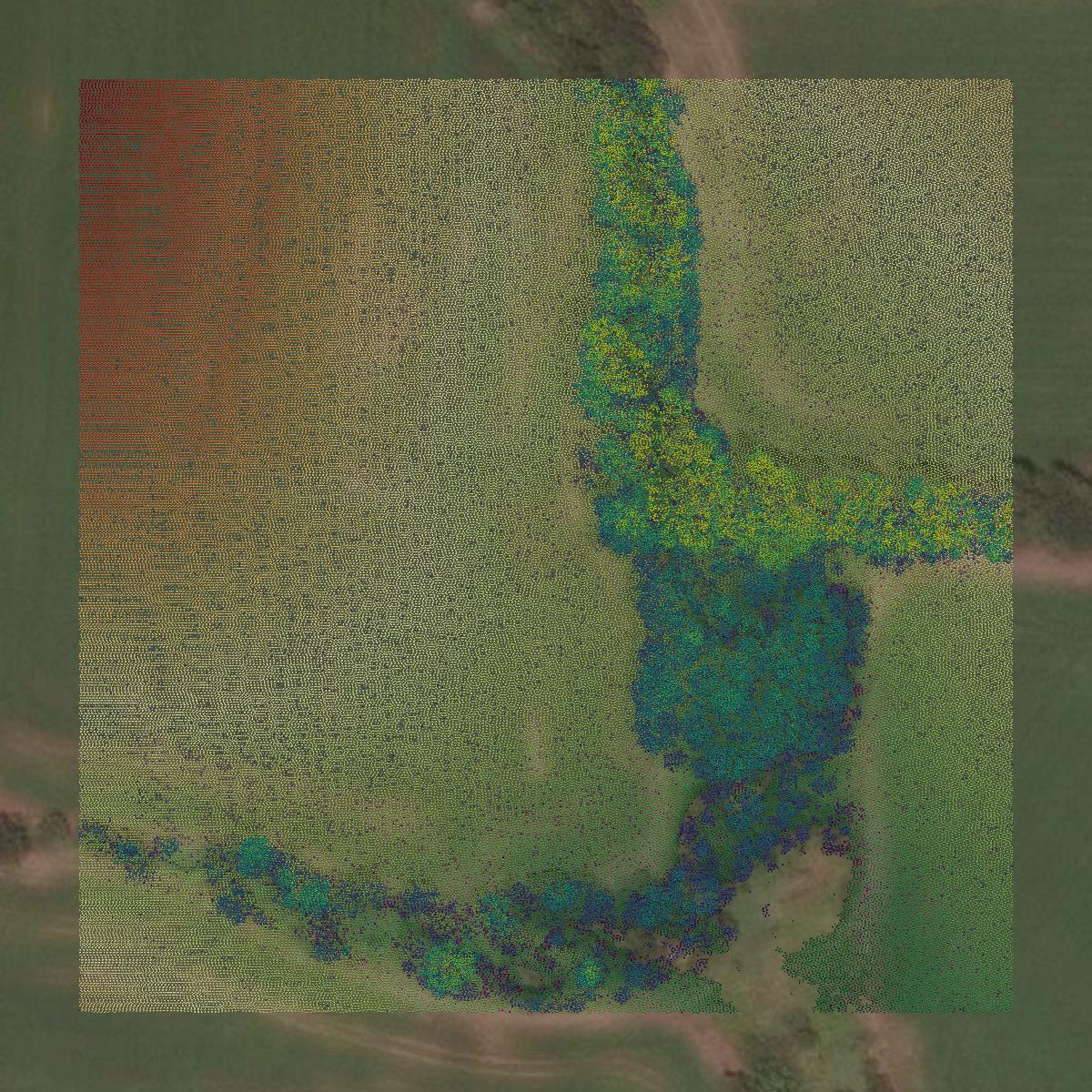 This image shows a LiDAR point cloud in Henry County created using GIS data in Equator.