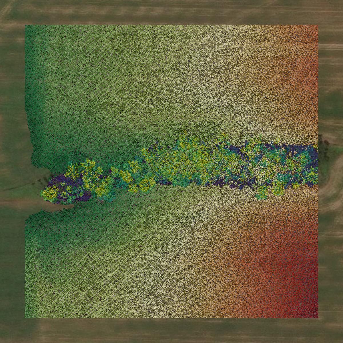 This image shows a LiDAR point cloud in Henry County created using GIS data in Equator.