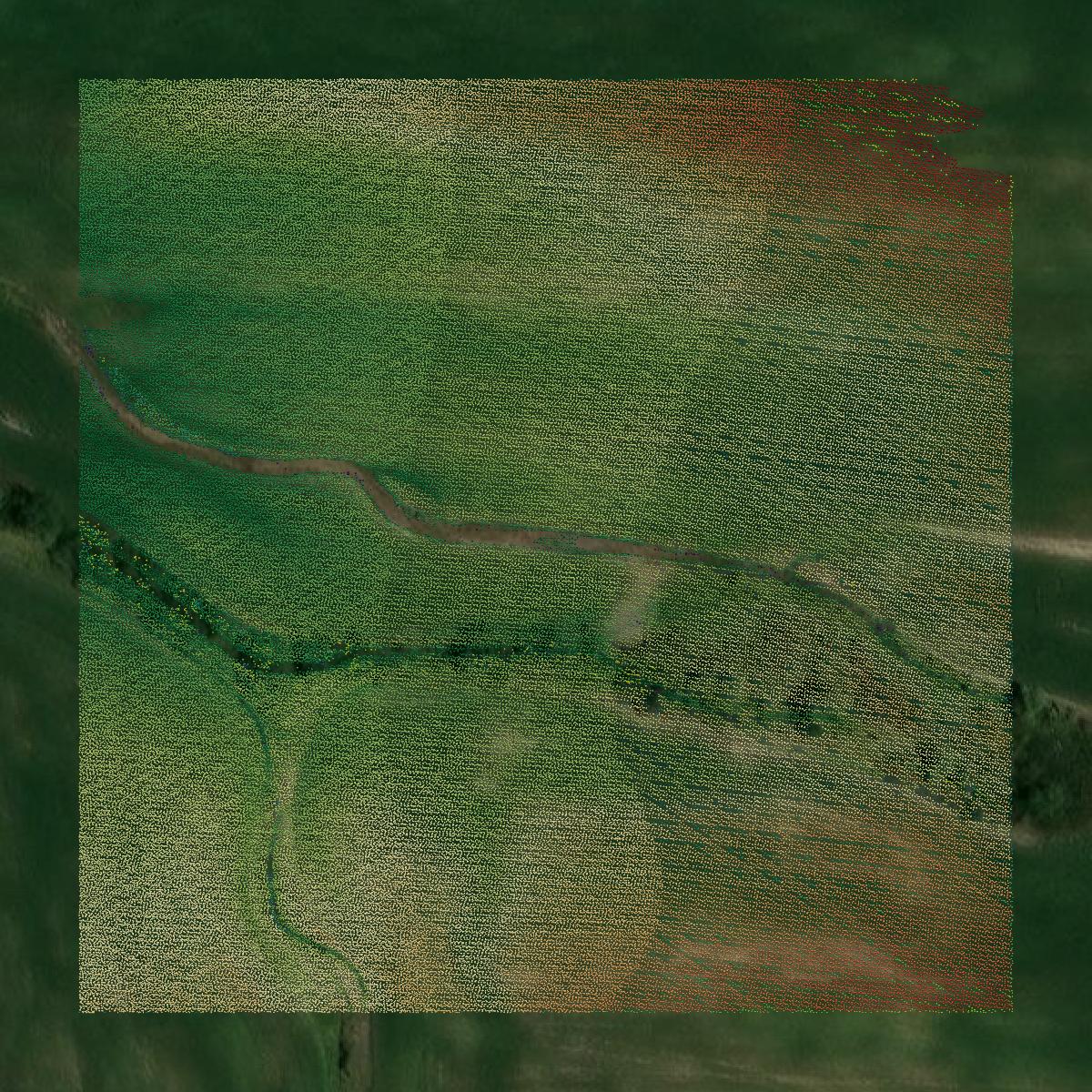 This image shows a LiDAR point cloud in Hickory County created using GIS data in Equator.