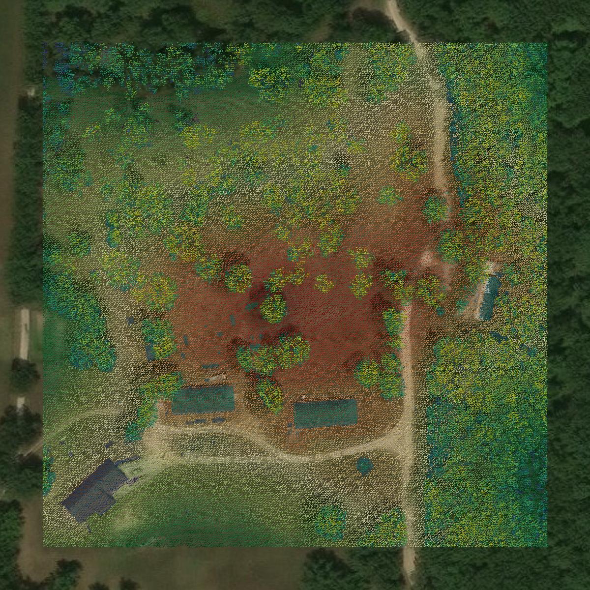 This image shows a LiDAR point cloud in Hickory County created using GIS data in Equator.