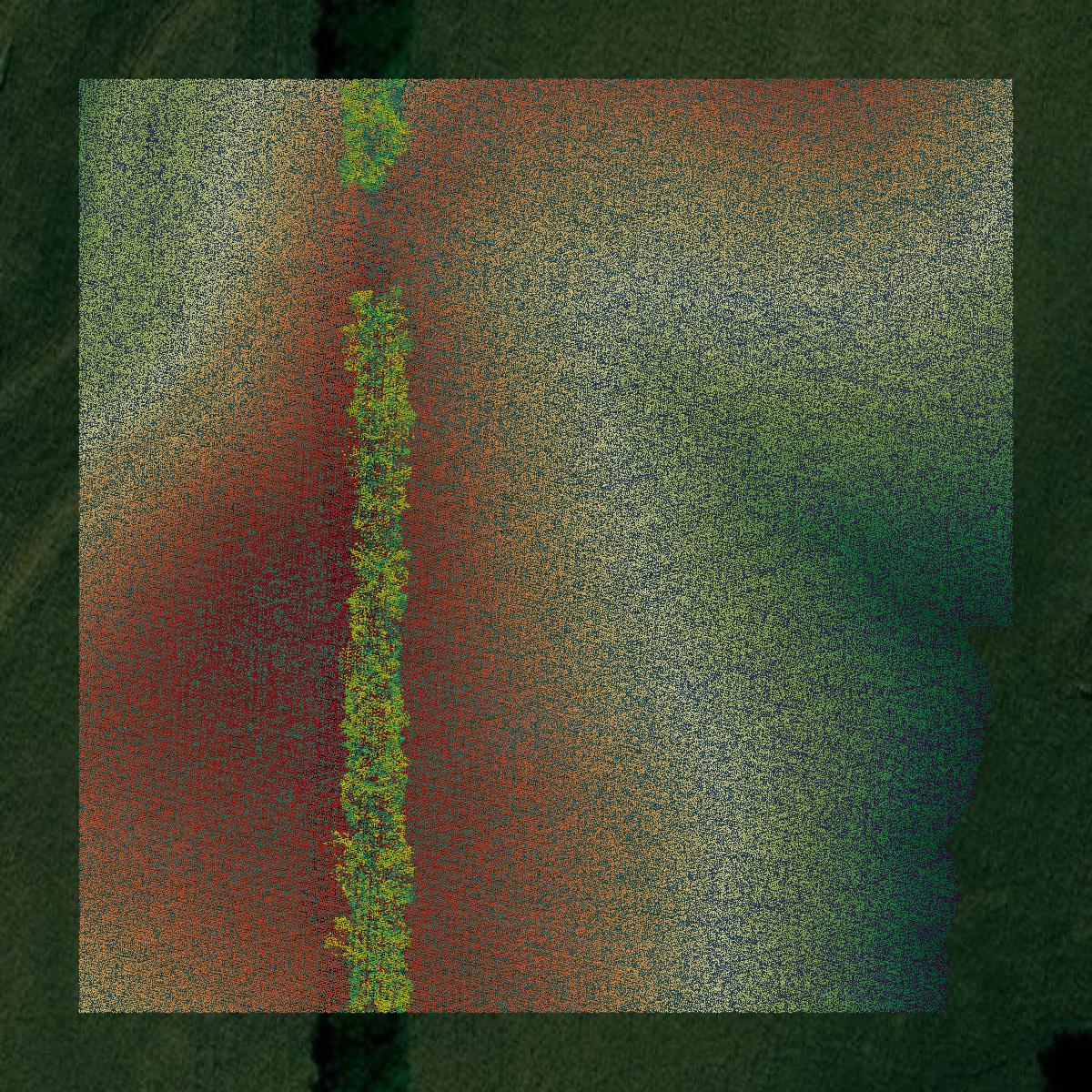 This image shows a LiDAR point cloud in Holt County created using GIS data in Equator.