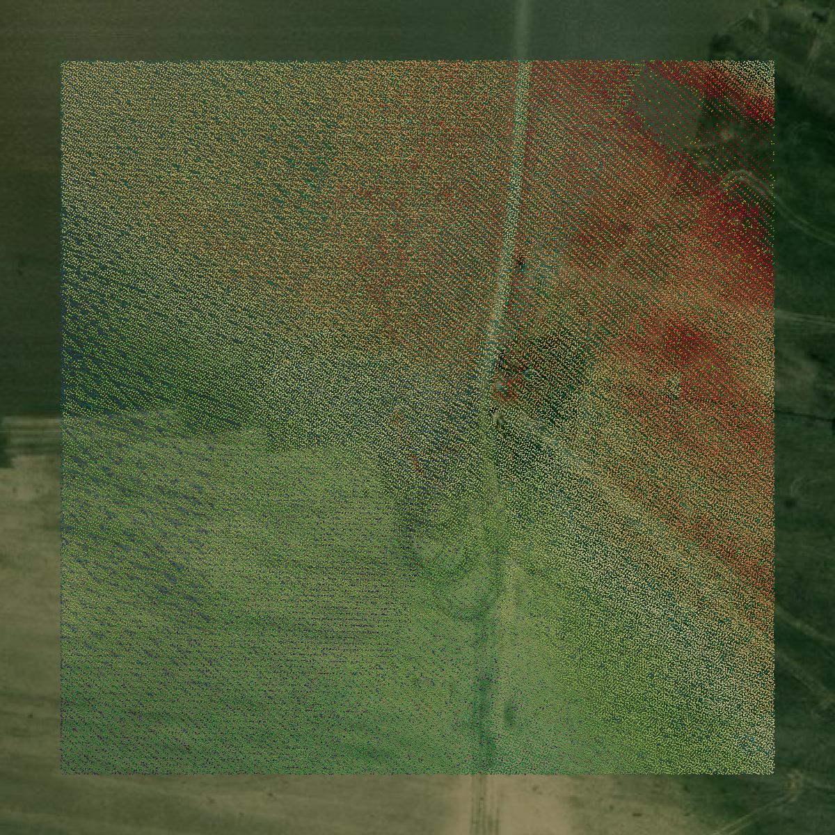 This image shows a LiDAR point cloud in Howard County created using GIS data in Equator.