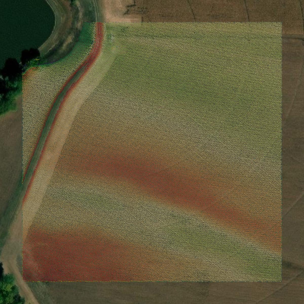 This image shows a LiDAR point cloud in Howard County created using GIS data in Equator.