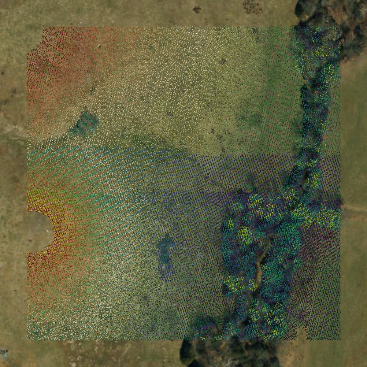 This image shows a LiDAR point cloud in Howell County created using GIS data in Equator.
