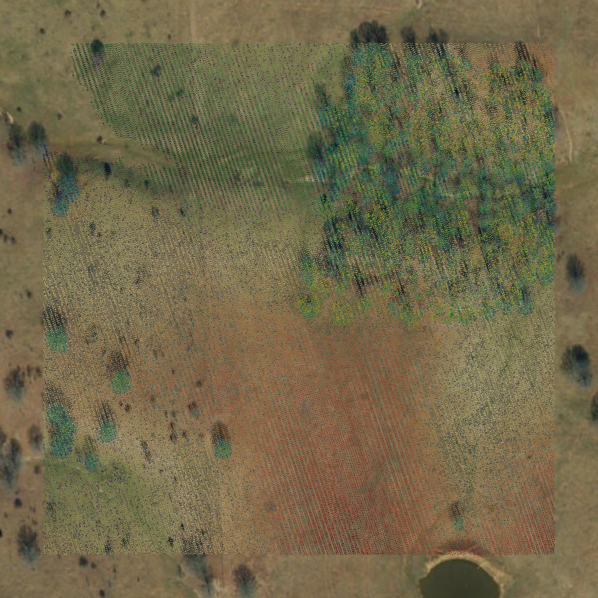This image shows a LiDAR point cloud in Howell County created using GIS data in Equator.