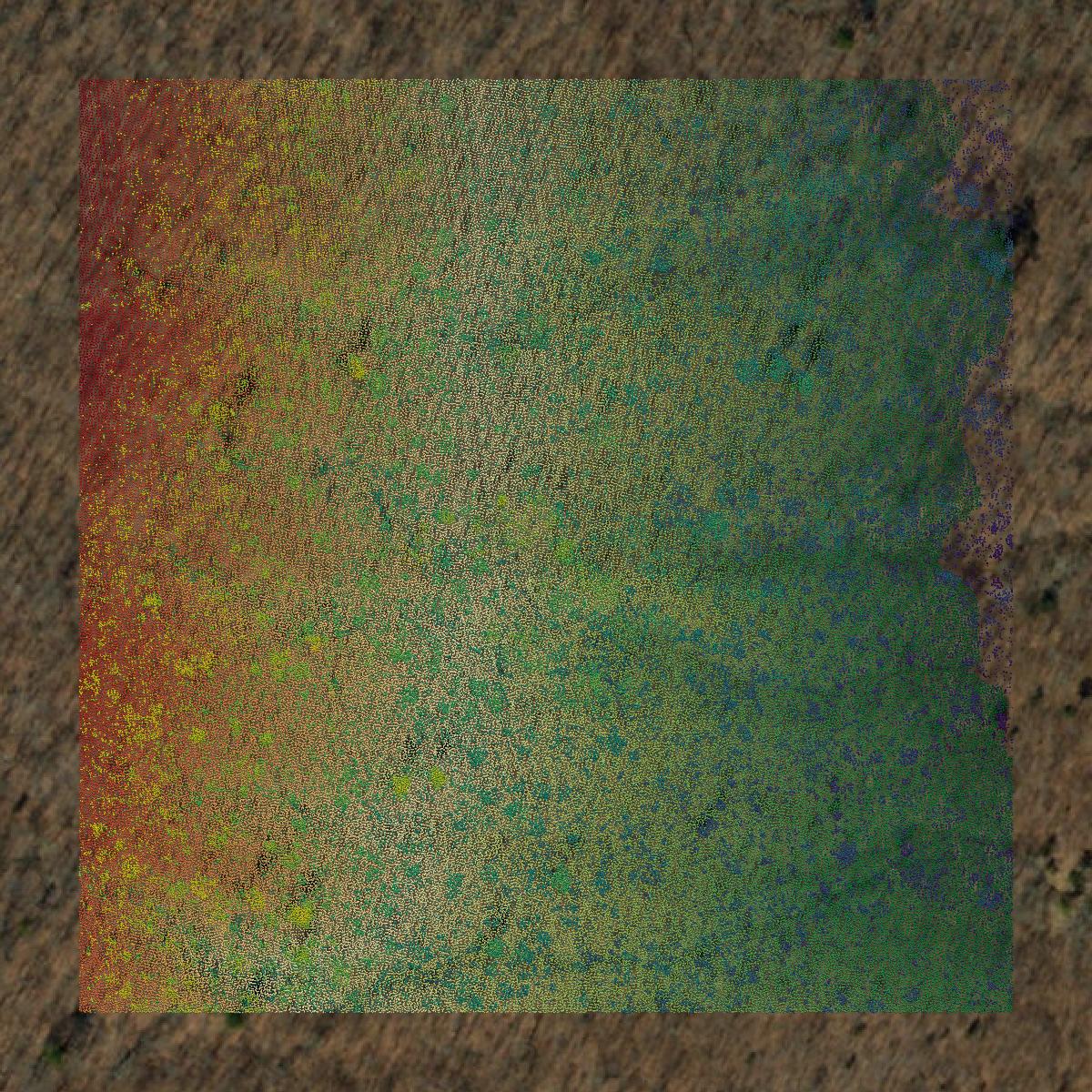 This image shows a LiDAR point cloud in Iron County created using GIS data in Equator.