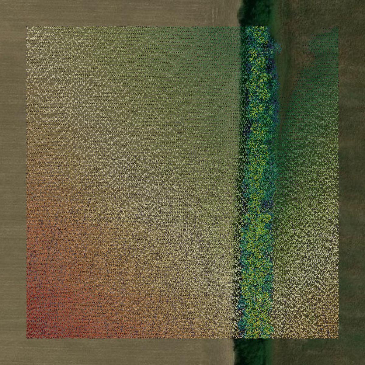 This image shows a LiDAR point cloud in Jasper County created using GIS data in Equator.