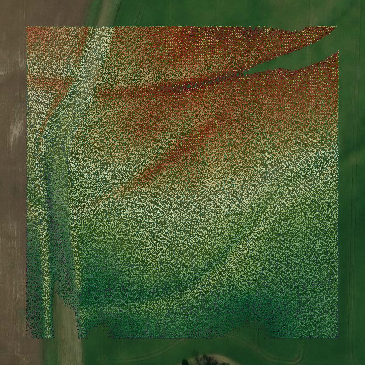 This image shows a LiDAR point cloud in Jasper County created using GIS data in Equator.