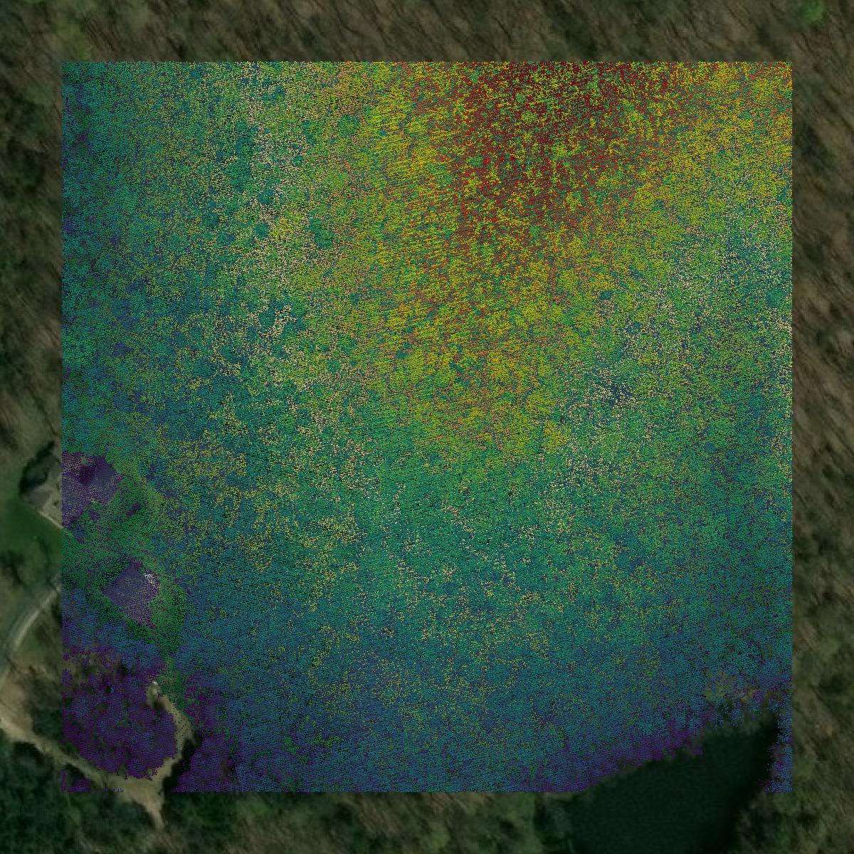 This image shows a LiDAR point cloud in Jefferson County created using GIS data in Equator.