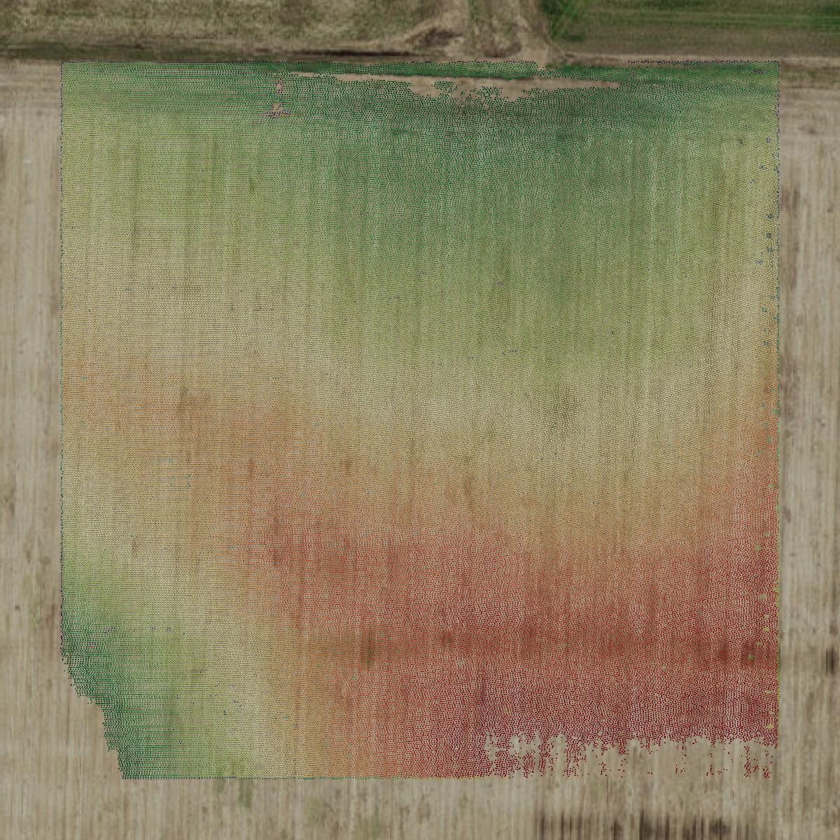 This image shows a LiDAR point cloud in Johnson County created using GIS data in Equator.