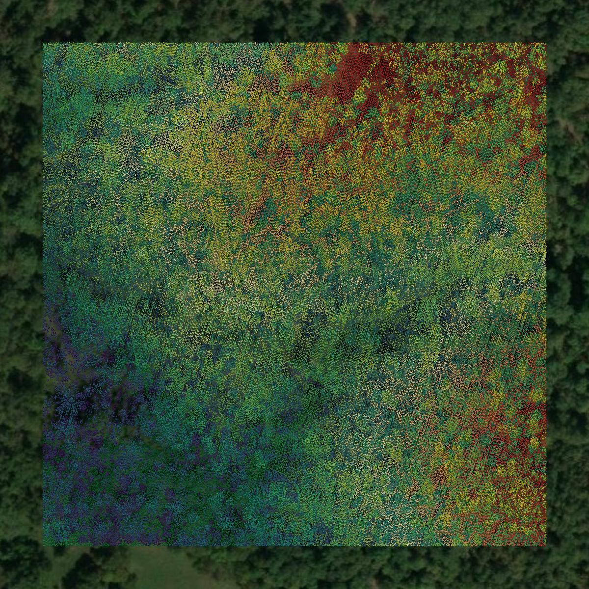 This image shows a LiDAR point cloud in Laclede County created using GIS data in Equator.