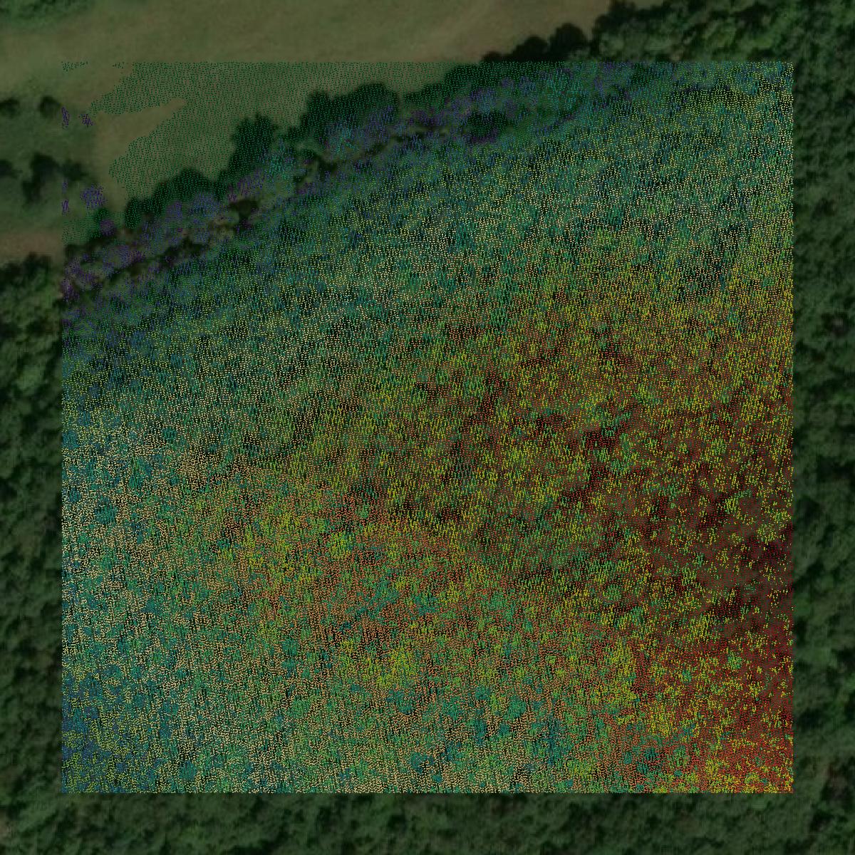 This image shows a LiDAR point cloud in Laclede County created using GIS data in Equator.