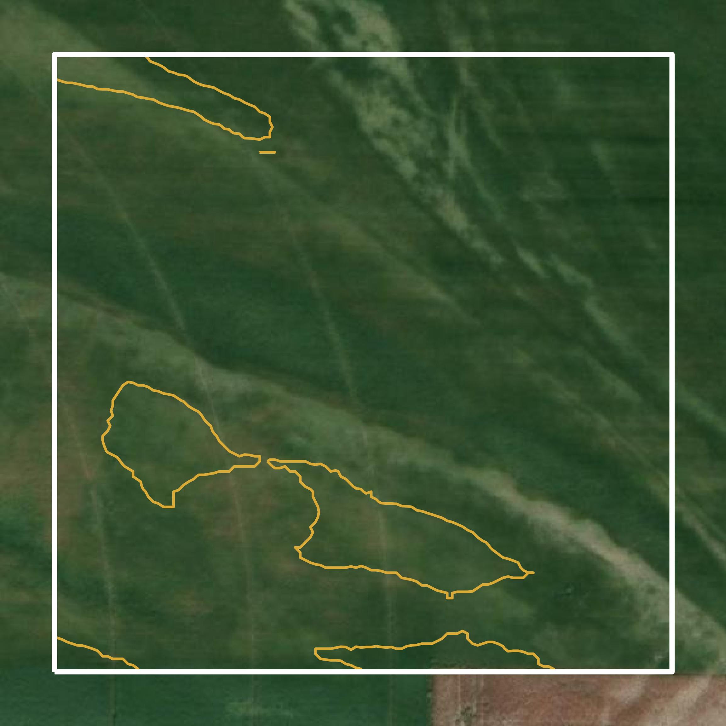 This image shows a contour map in Lafayette County created using GIS data in Equator.