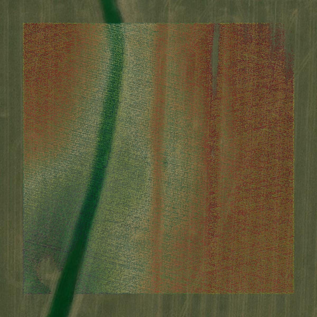 This image shows a LiDAR point cloud in Lewis County created using GIS data in Equator.