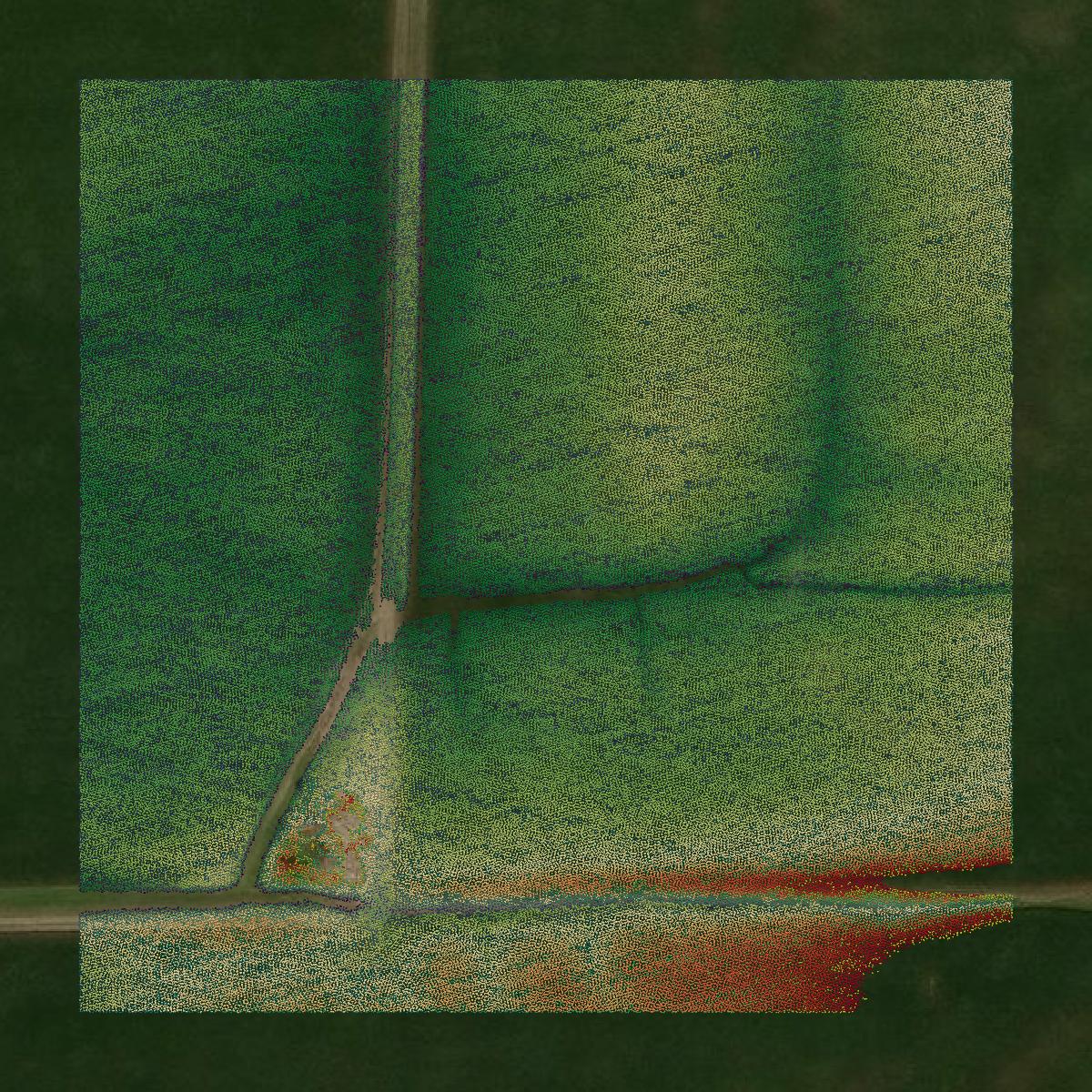 This image shows a LiDAR point cloud in Linn County created using GIS data in Equator.