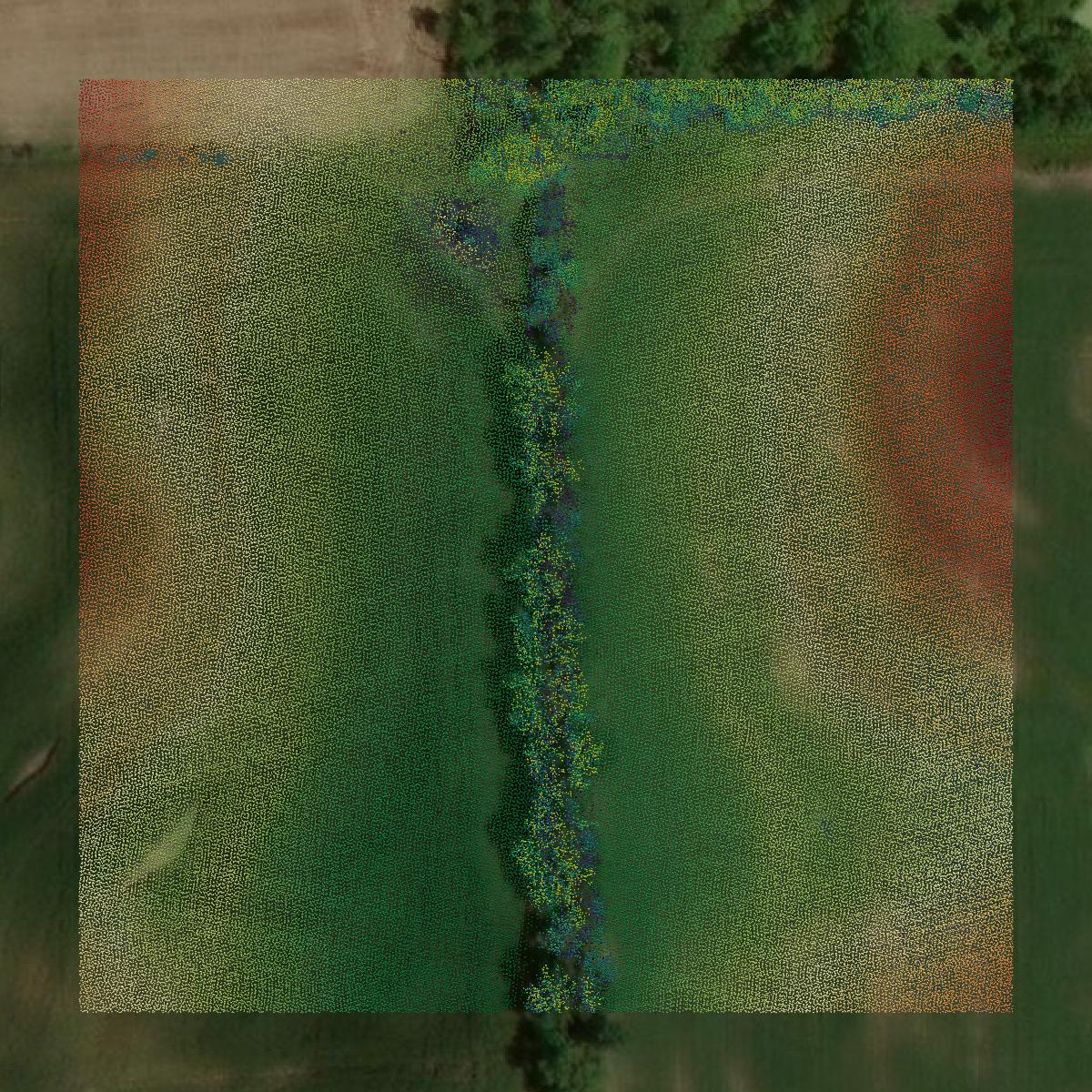 This image shows a LiDAR point cloud in Livingston County created using GIS data in Equator.
