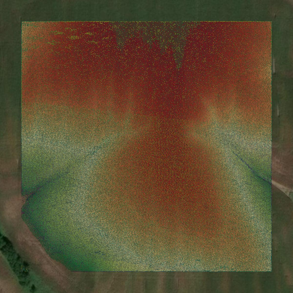 This image shows a LiDAR point cloud in Macon County created using GIS data in Equator.