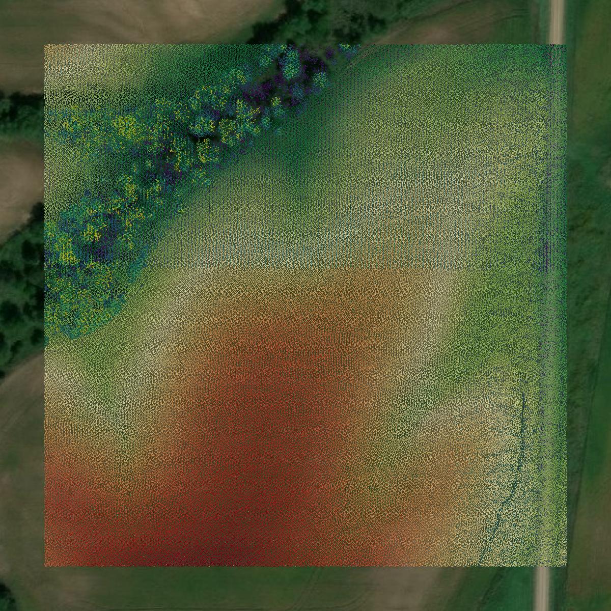 This image shows a LiDAR point cloud in Macon County created using GIS data in Equator.