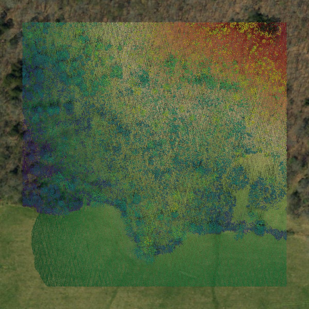 This image shows a LiDAR point cloud in Madison County created using GIS data in Equator.