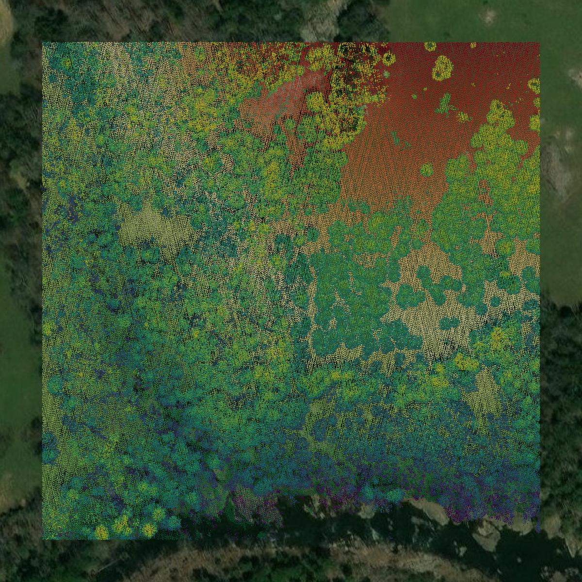 This image shows a LiDAR point cloud in Madison County created using GIS data in Equator.