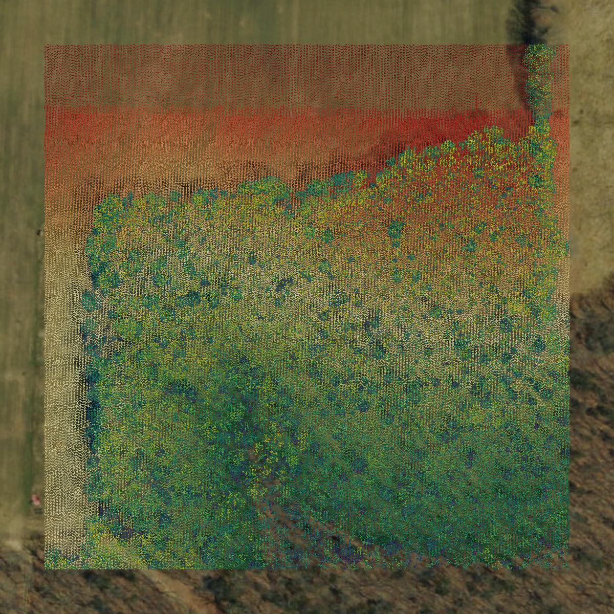 This image shows a LiDAR point cloud in Maries County created using GIS data in Equator.