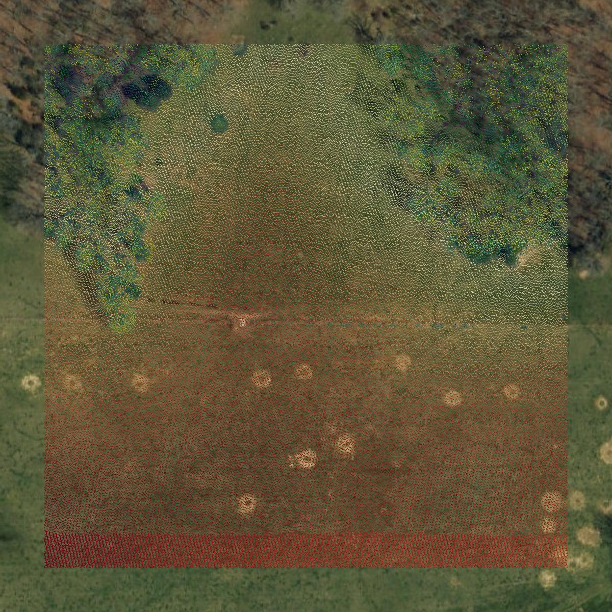 This image shows a LiDAR point cloud in Maries County created using GIS data in Equator.