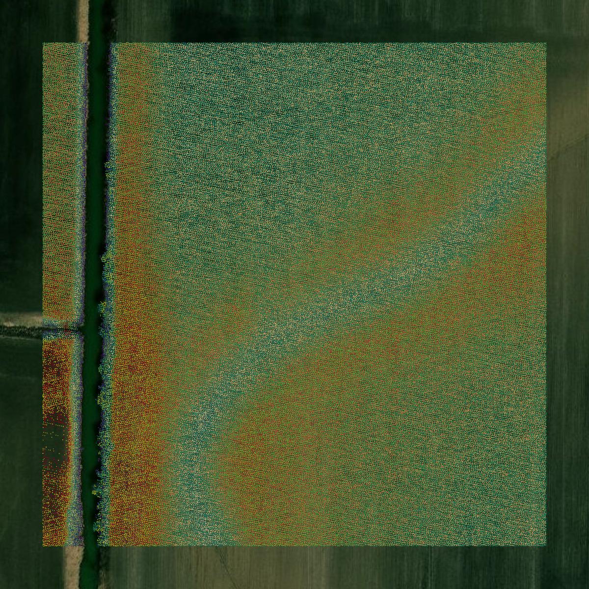 This image shows a LiDAR point cloud in Marion County created using GIS data in Equator.