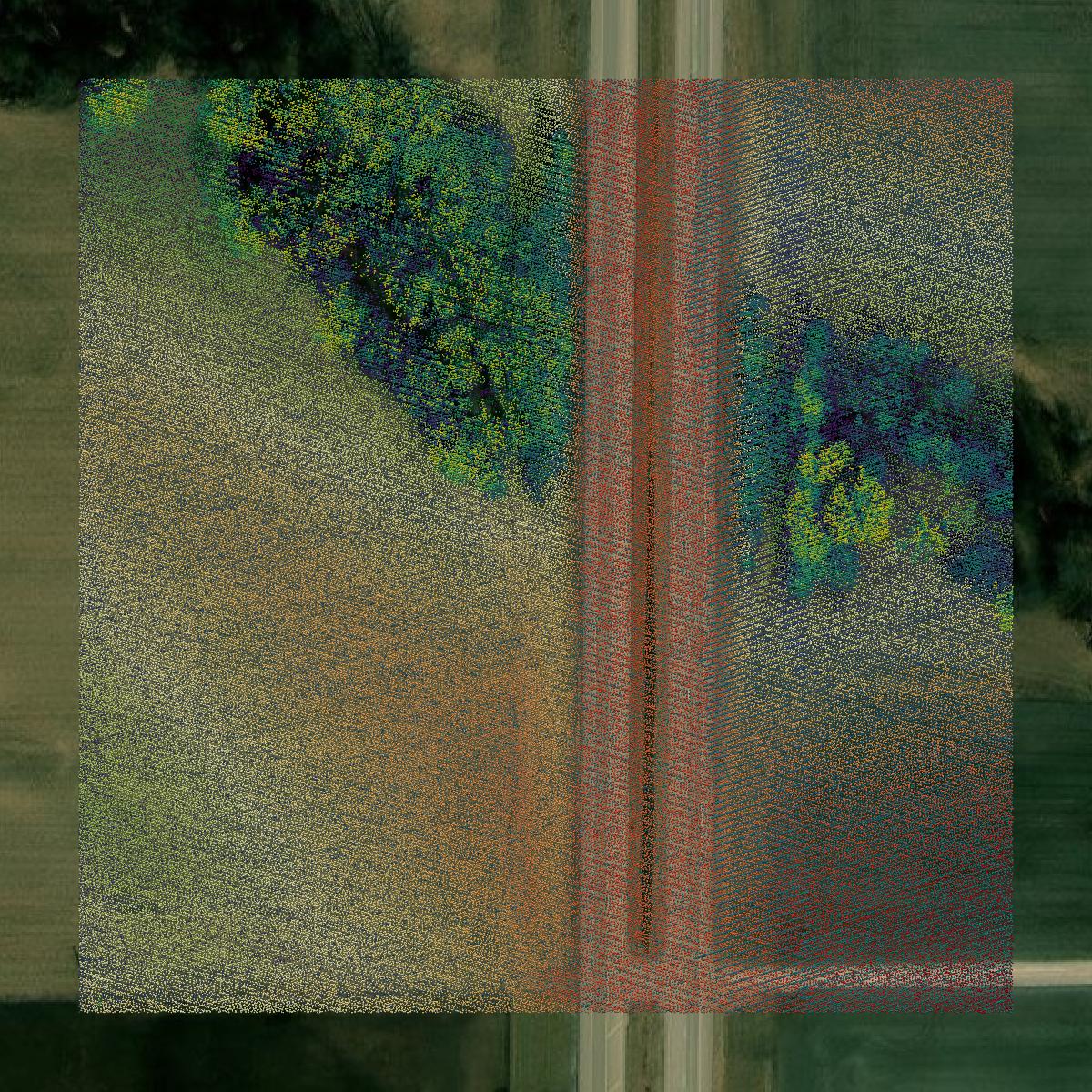 This image shows a LiDAR point cloud in Marion County created using GIS data in Equator.