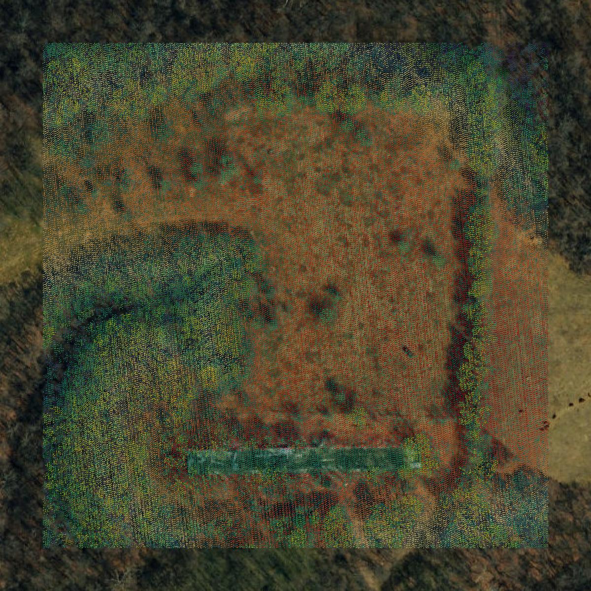 This image shows a LiDAR point cloud in McDonald County created using GIS data in Equator.