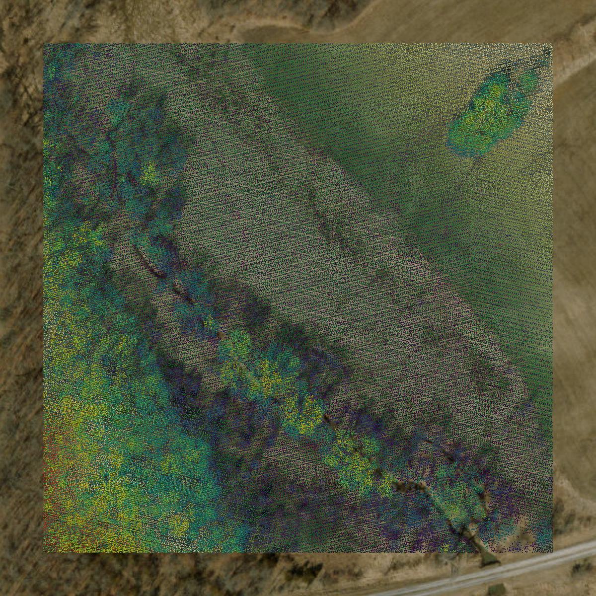 This image shows a LiDAR point cloud in Mercer County created using GIS data in Equator.
