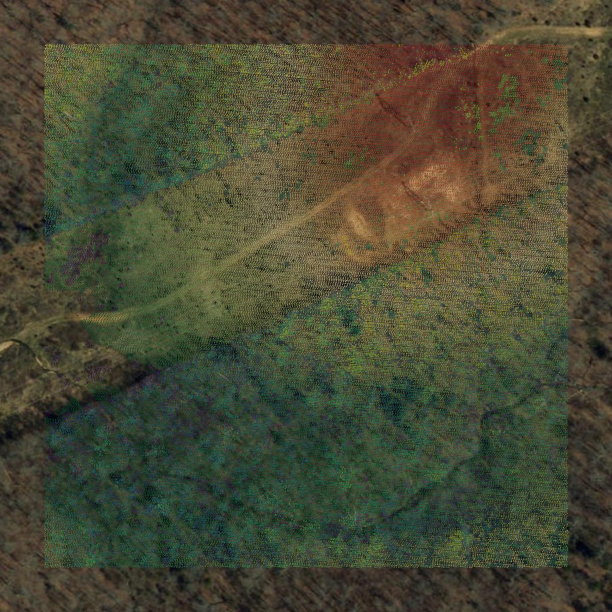 This image shows a LiDAR point cloud in Miller County created using GIS data in Equator.