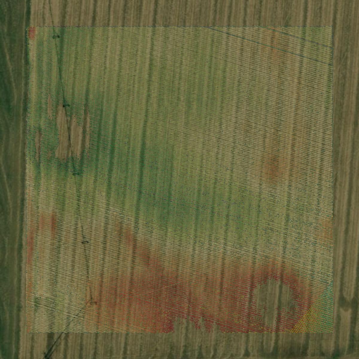 This image shows a LiDAR point cloud in Mississippi County created using GIS data in Equator.
