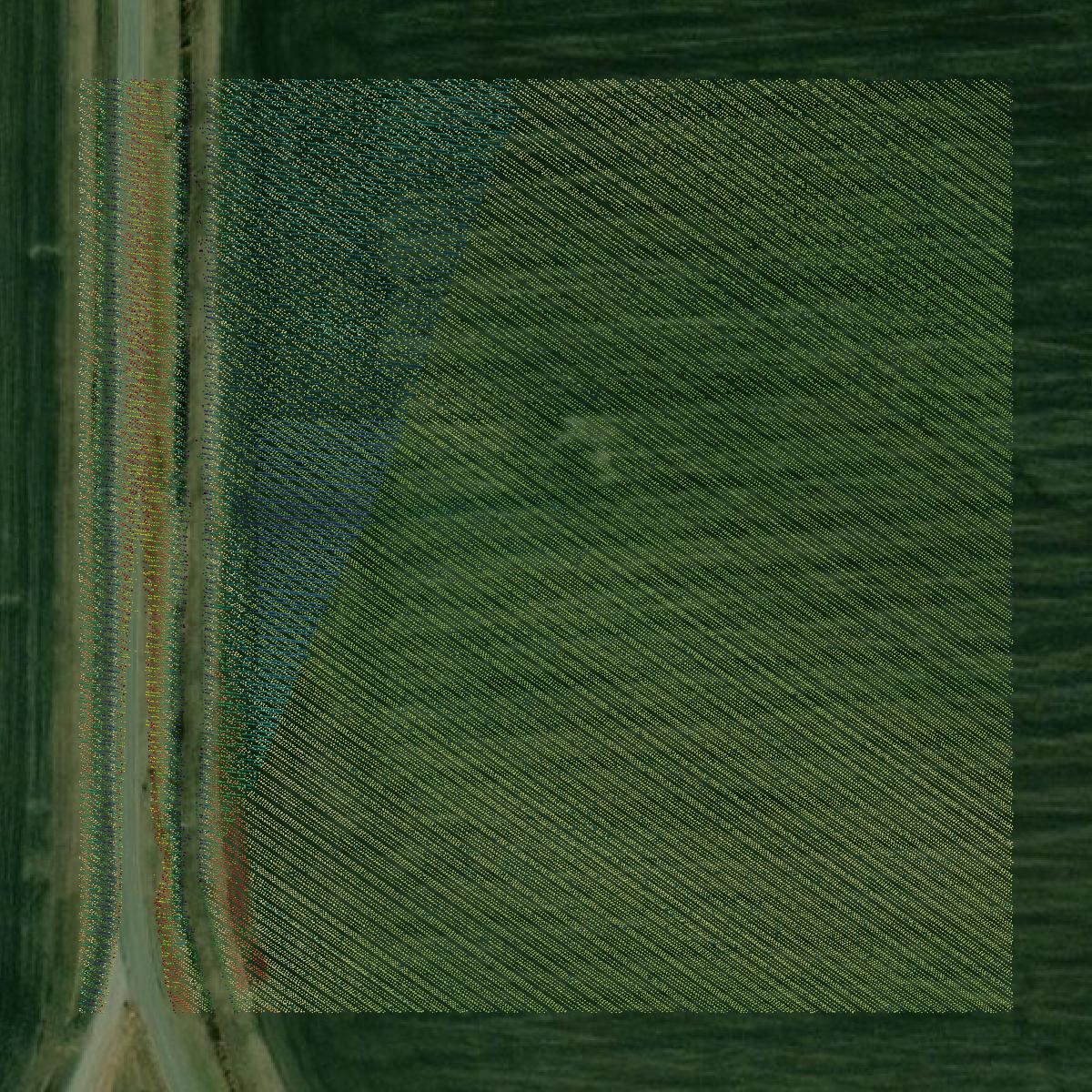 This image shows a LiDAR point cloud in Mississippi County created using GIS data in Equator.