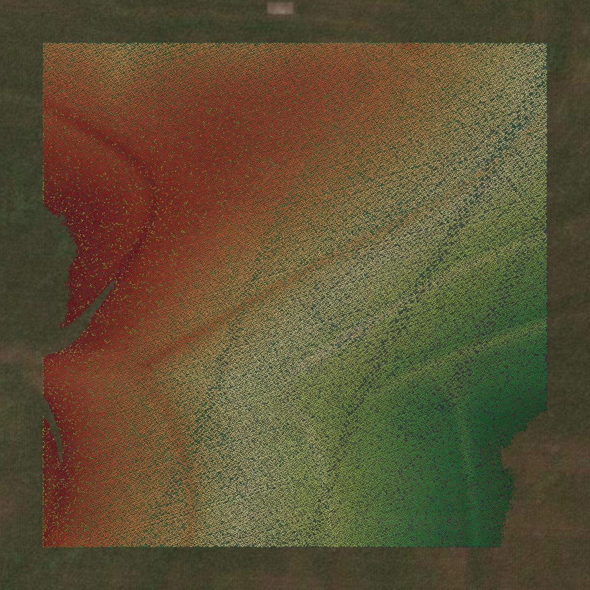 This image shows a LiDAR point cloud in Moniteau County created using GIS data in Equator.