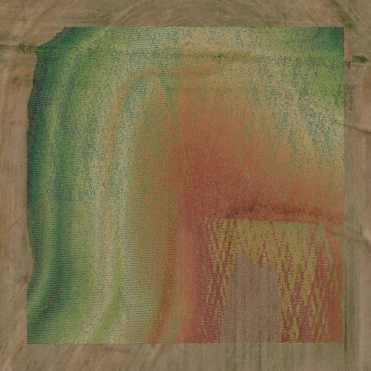 This image shows a LiDAR point cloud in Montgomery County created using GIS data in Equator.