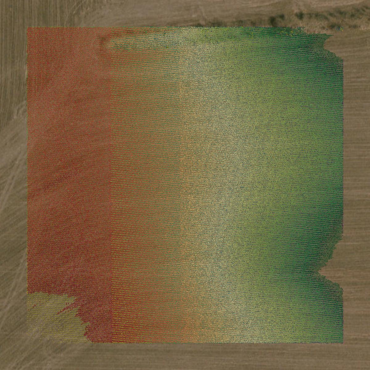 This image shows a LiDAR point cloud in Montgomery County created using GIS data in Equator.