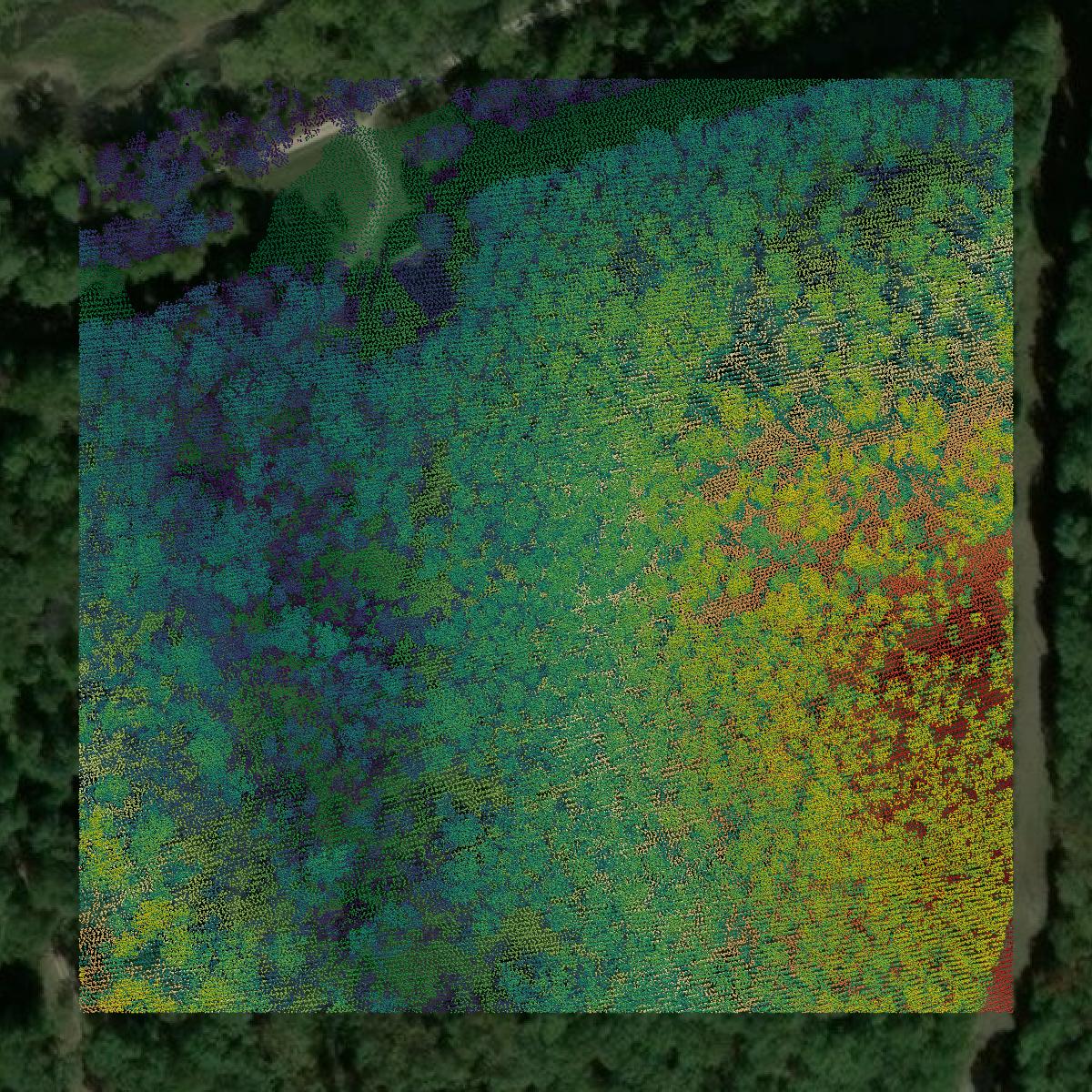 This image shows a LiDAR point cloud in Morgan County created using GIS data in Equator.