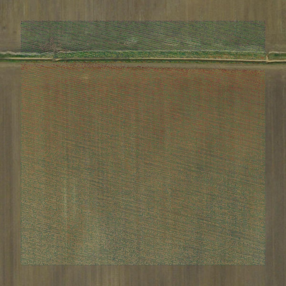 This image shows a LiDAR point cloud in New Madrid County created using GIS data in Equator.