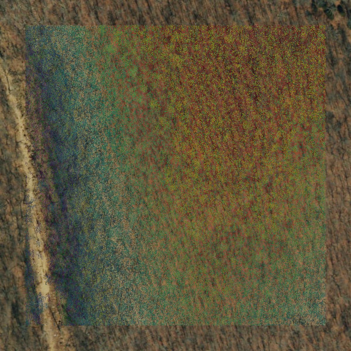 This image shows a LiDAR point cloud in Oregon County created using GIS data in Equator.