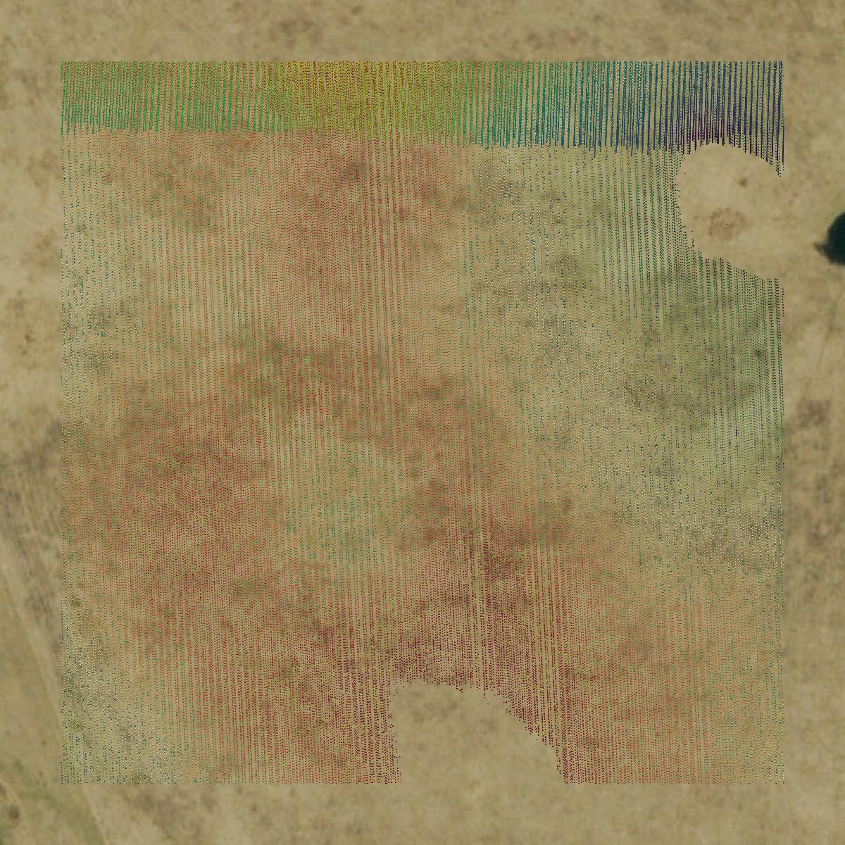 This image shows a LiDAR point cloud in Oregon County created using GIS data in Equator.