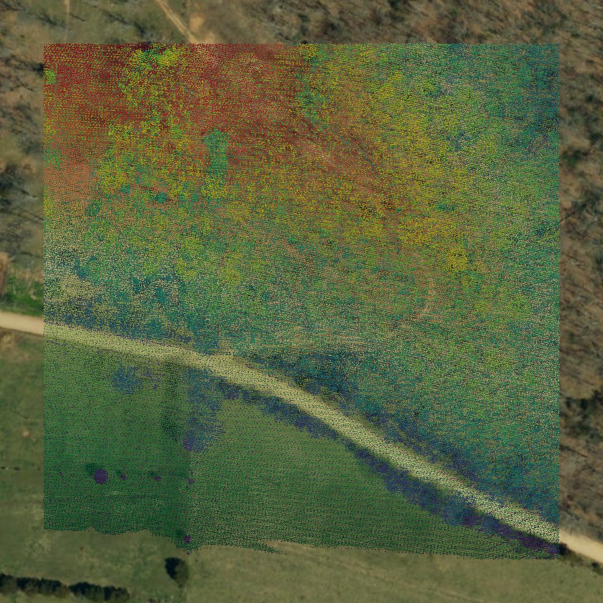 This image shows a LiDAR point cloud in Osage County created using GIS data in Equator.