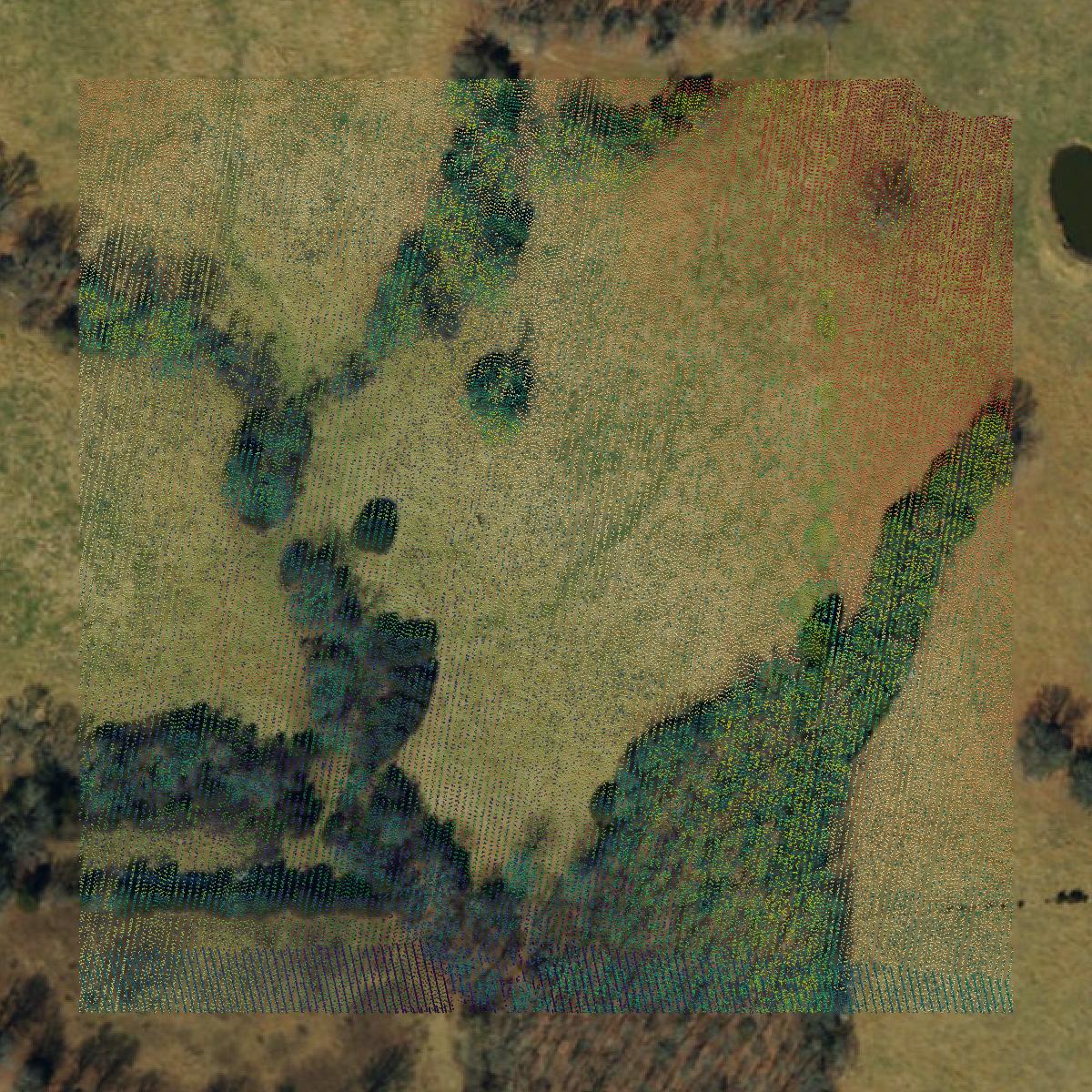 This image shows a LiDAR point cloud in Ozark County created using GIS data in Equator.