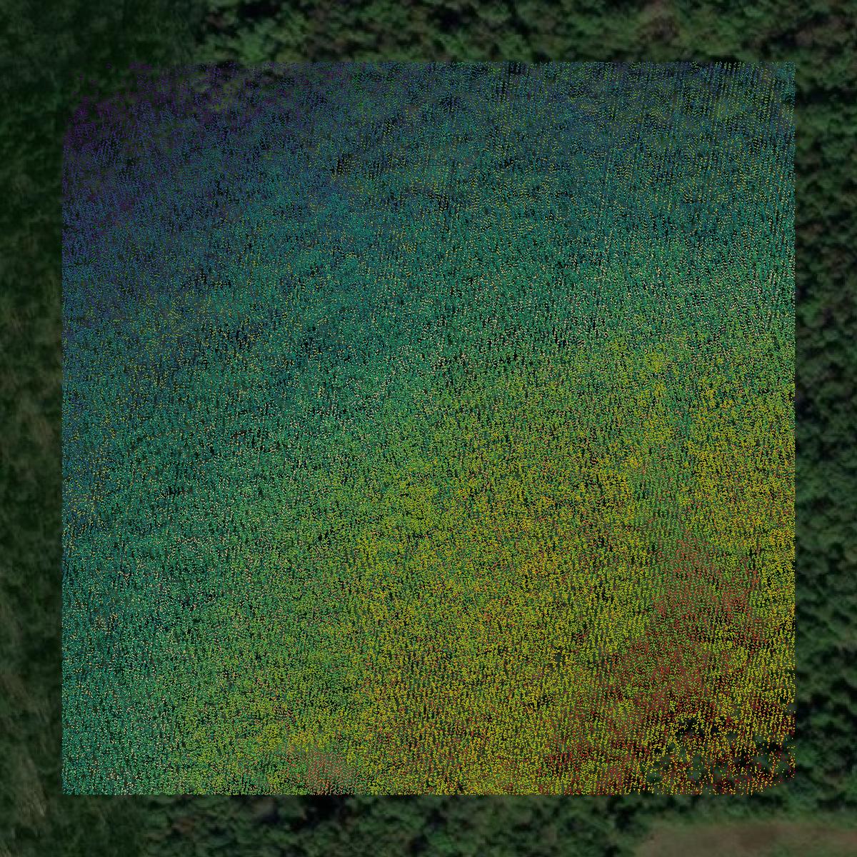 This image shows a LiDAR point cloud in Ozark County created using GIS data in Equator.